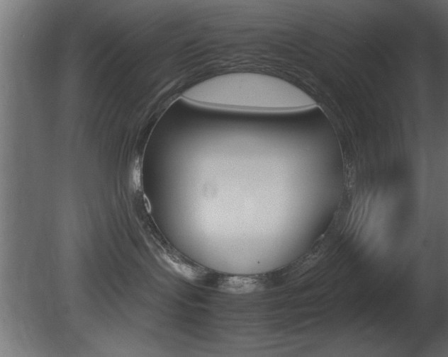 X0000081450095200701121026