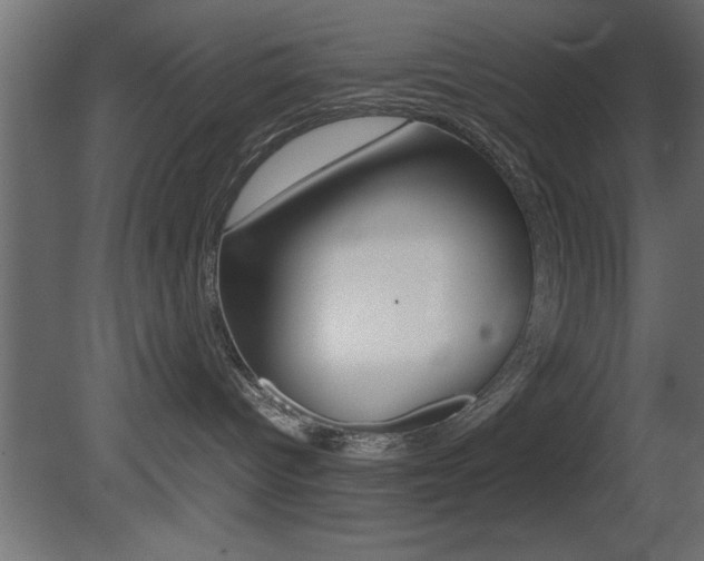 X0000081450096200701121026