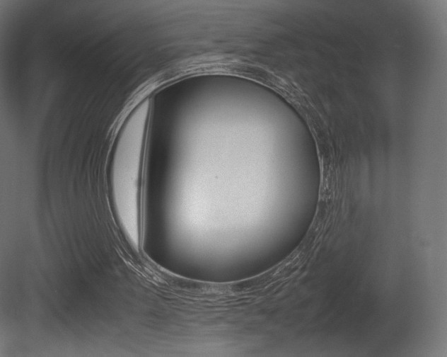 X0000081450099200701121025