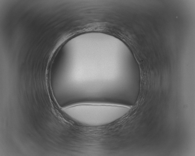 X0000081450100200701121025