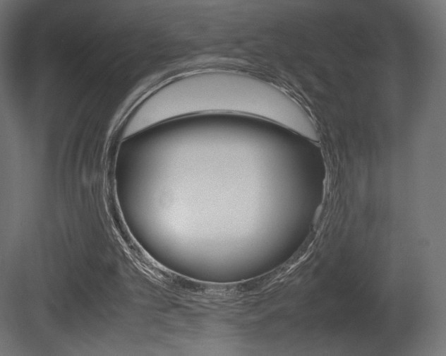 X0000081450101200701121025