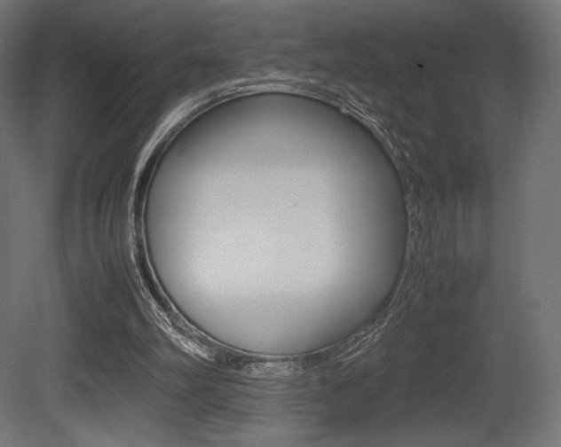 X0000081450102200701121025