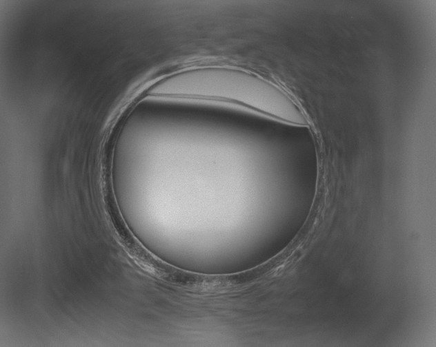 X0000081450103200701121025