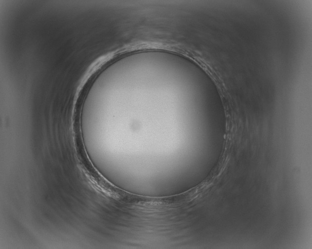 X0000081450104200701121025