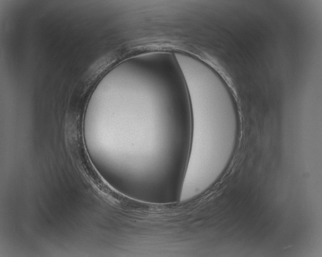 X0000081450105200701121025