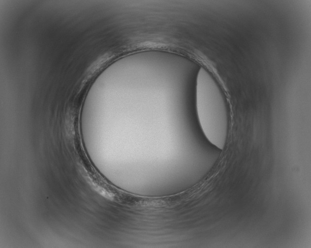 X0000081450106200701121025