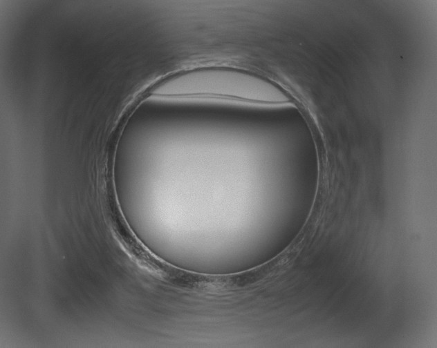 X0000081450107200701121025