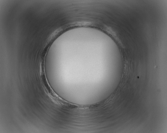 X0000081450110200701121025