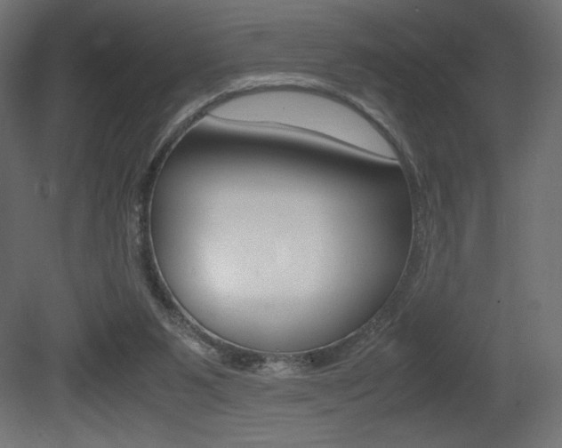 X0000081450111200701121025