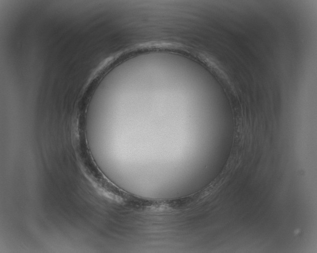X0000081450112200701121025