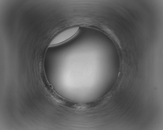 X0000081450113200701121025