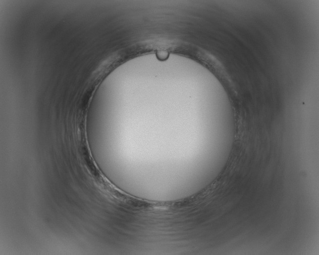 X0000081450114200701121025