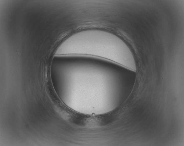 X0000081450115200701121025