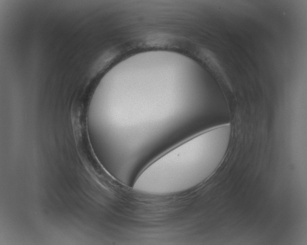X0000081450116200701121025