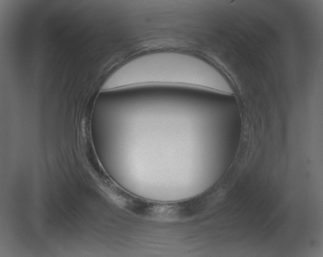 X0000081450117200701121025