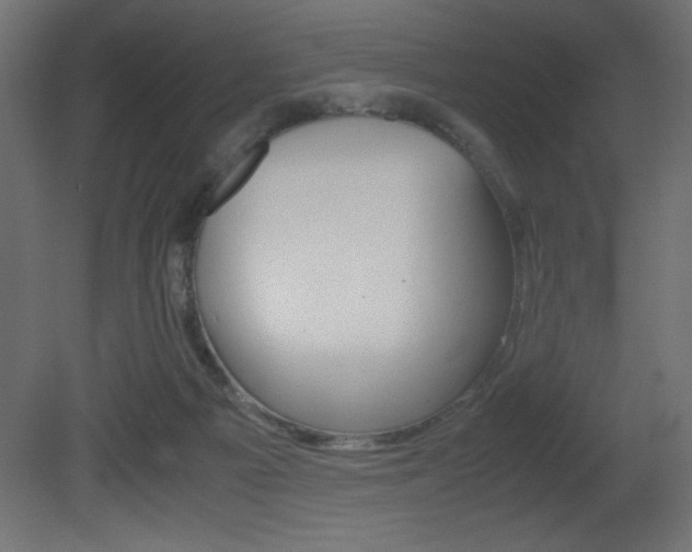 X0000081450121200701121025