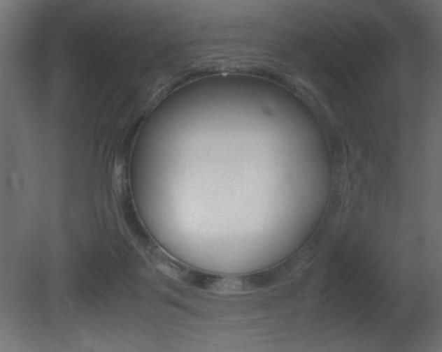 X0000081450123200701121025