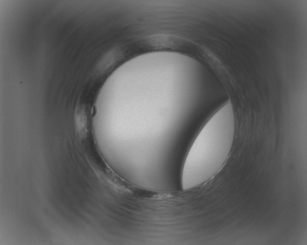 X0000081450124200701121025