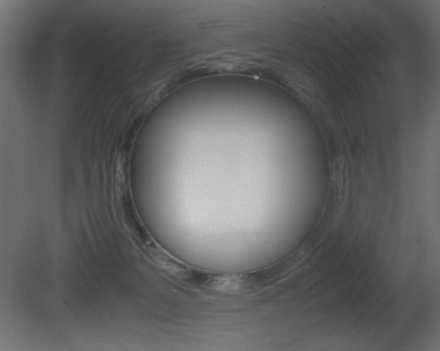 X0000081450127200701121025