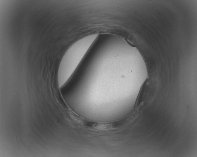X0000081450129200701121025