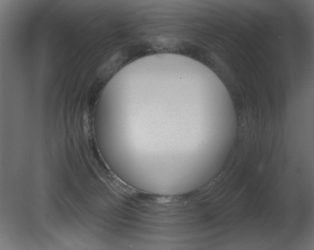 X0000081450130200701121025