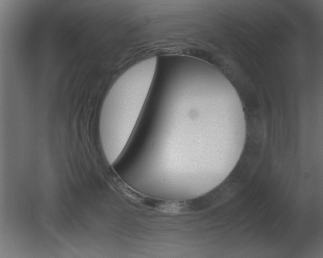 X0000081450131200701121025