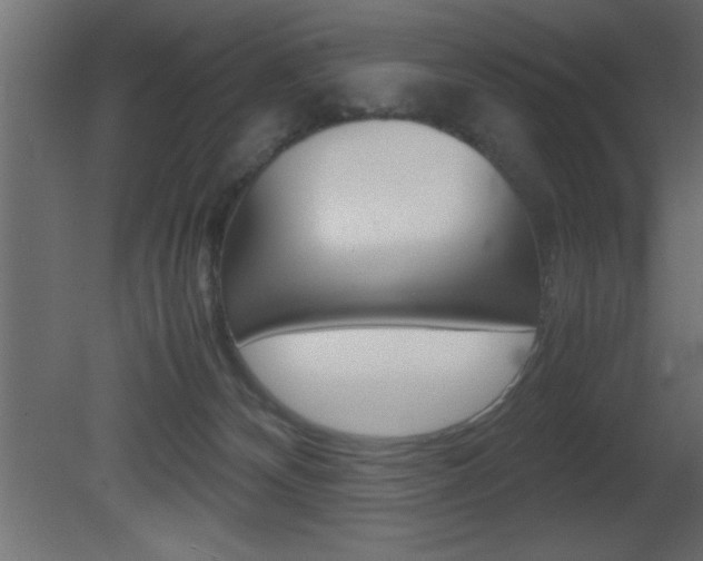 X0000081450132200701121025