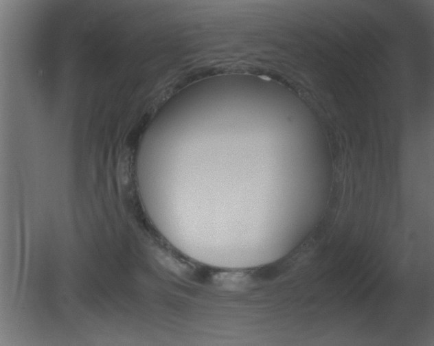 X0000081450133200701121025