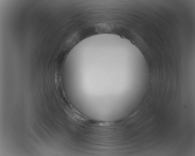 X0000081450134200701121025