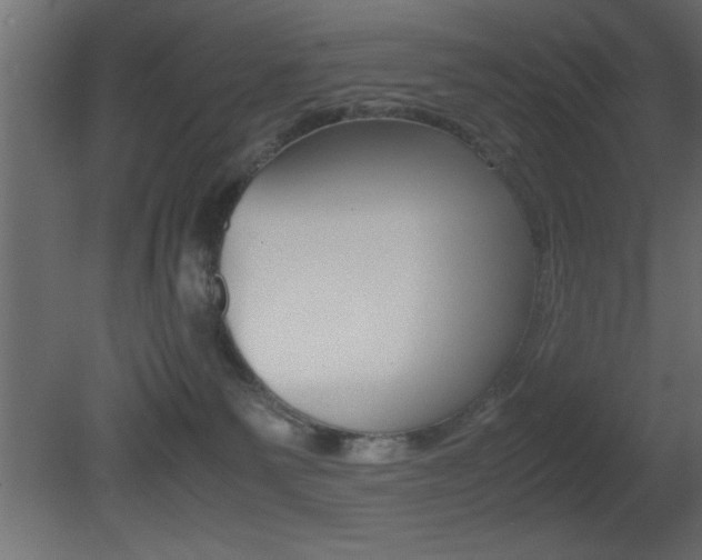 X0000081450135200701121025