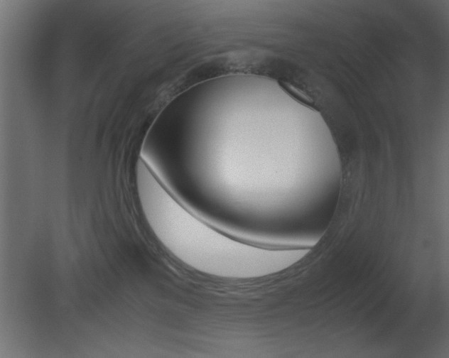 X0000081450137200701121025