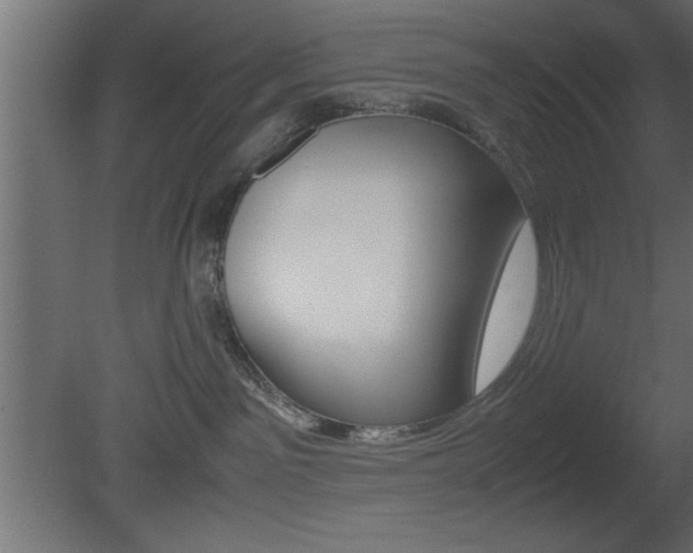 X0000081450141200701121025