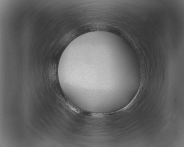 X0000081450144200701121024