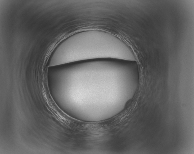 X0000081450145200701121024