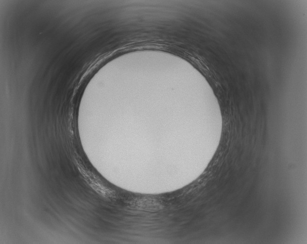X0000081450146200701121024