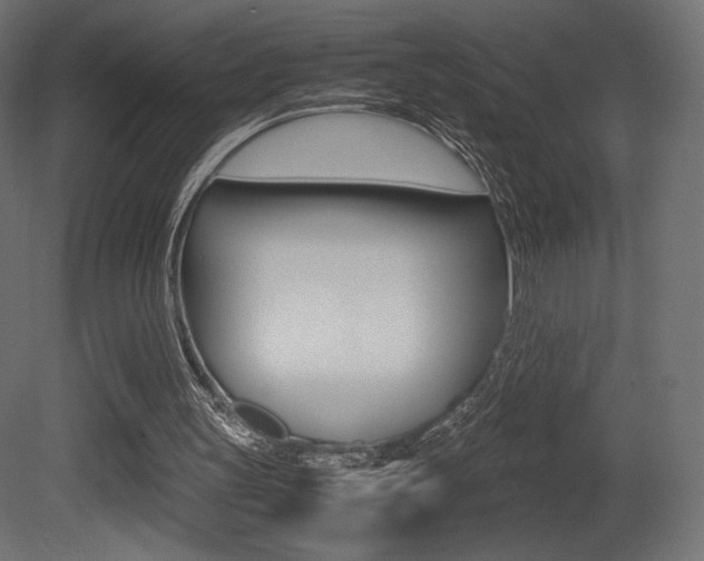 X0000081450147200701121024