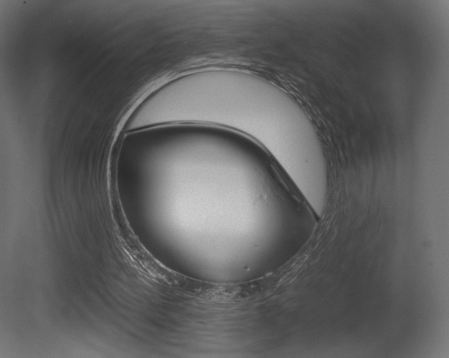 X0000081450148200701121024