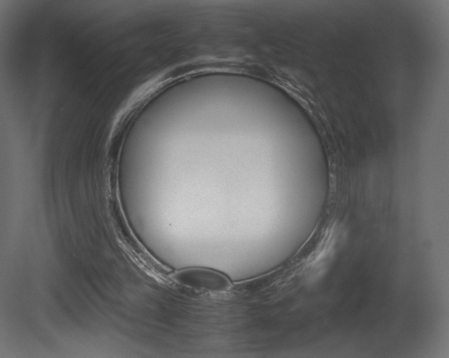 X0000081450149200701121024
