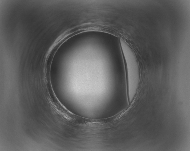 X0000081450150200701121024