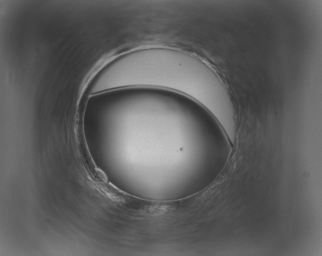 X0000081450152200701121024