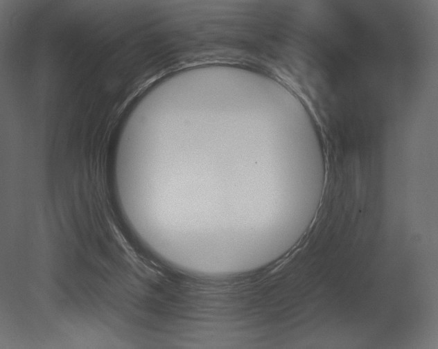 X0000081450154200701121024