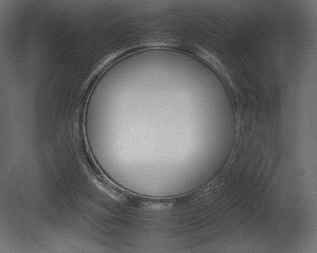 X0000081450155200701121024