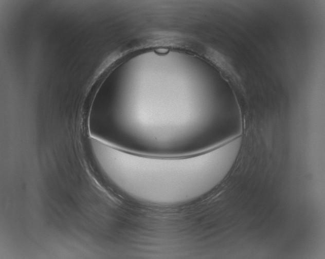 X0000081450156200701121024