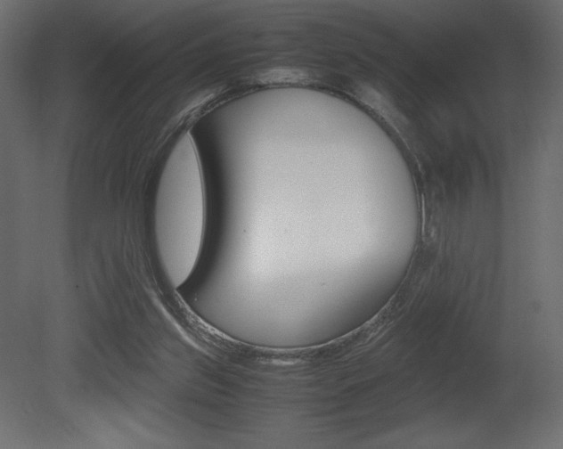 X0000081450157200701121024