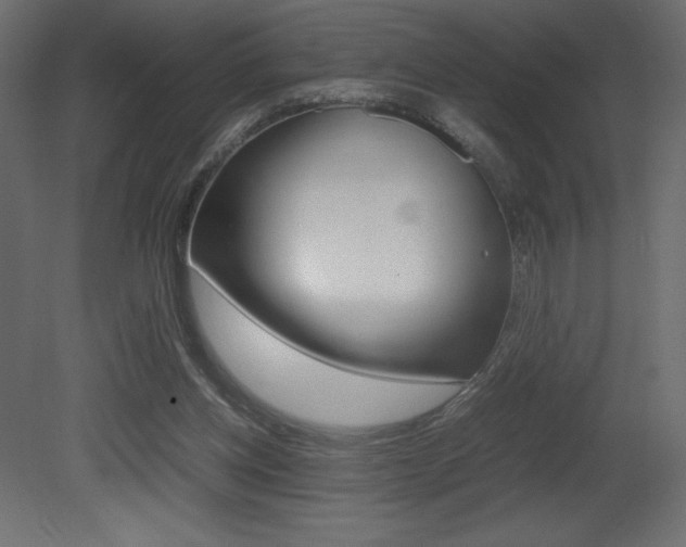 X0000081450158200701121024