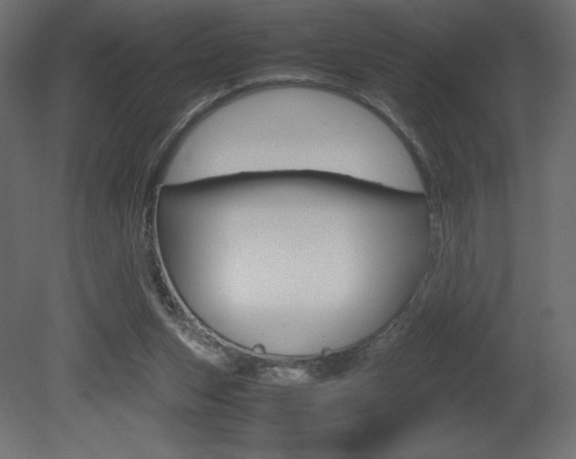 X0000081450159200701121024