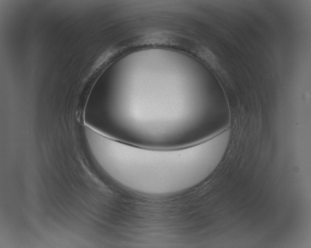X0000081450160200701121024