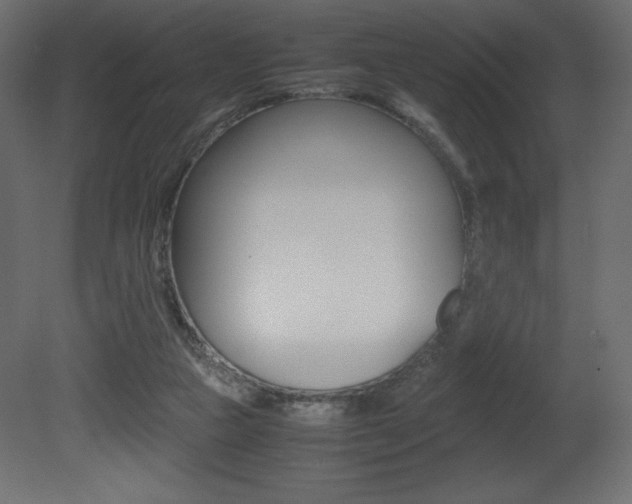 X0000081450161200701121024