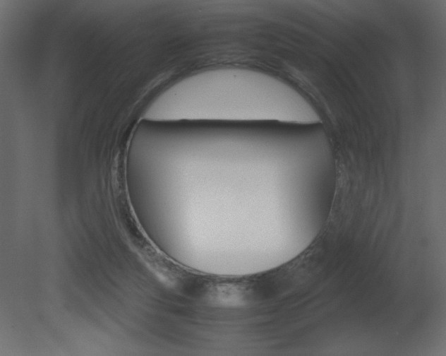 X0000081450163200701121024