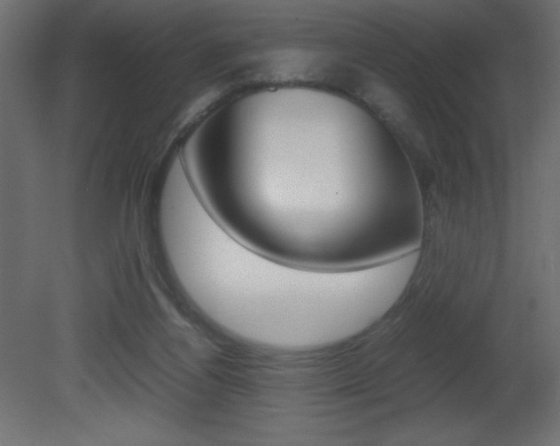 X0000081450164200701121024
